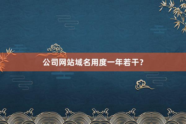 公司网站域名用度一年若干？