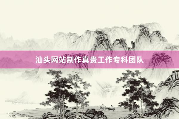 汕头网站制作真贵工作专科团队