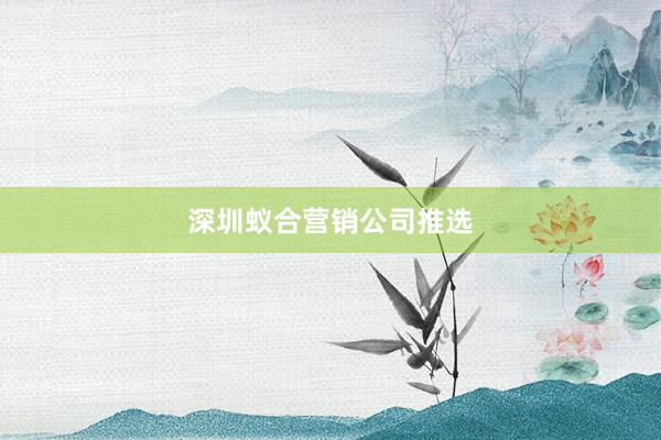 深圳蚁合营销公司推选
