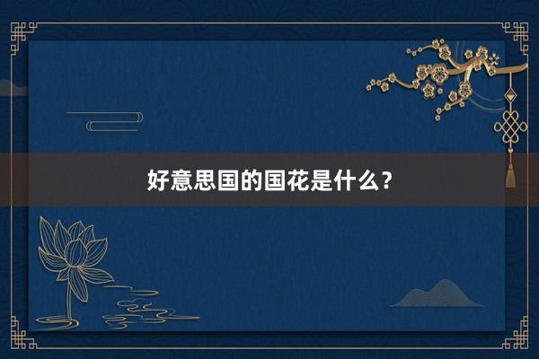 好意思国的国花是什么？